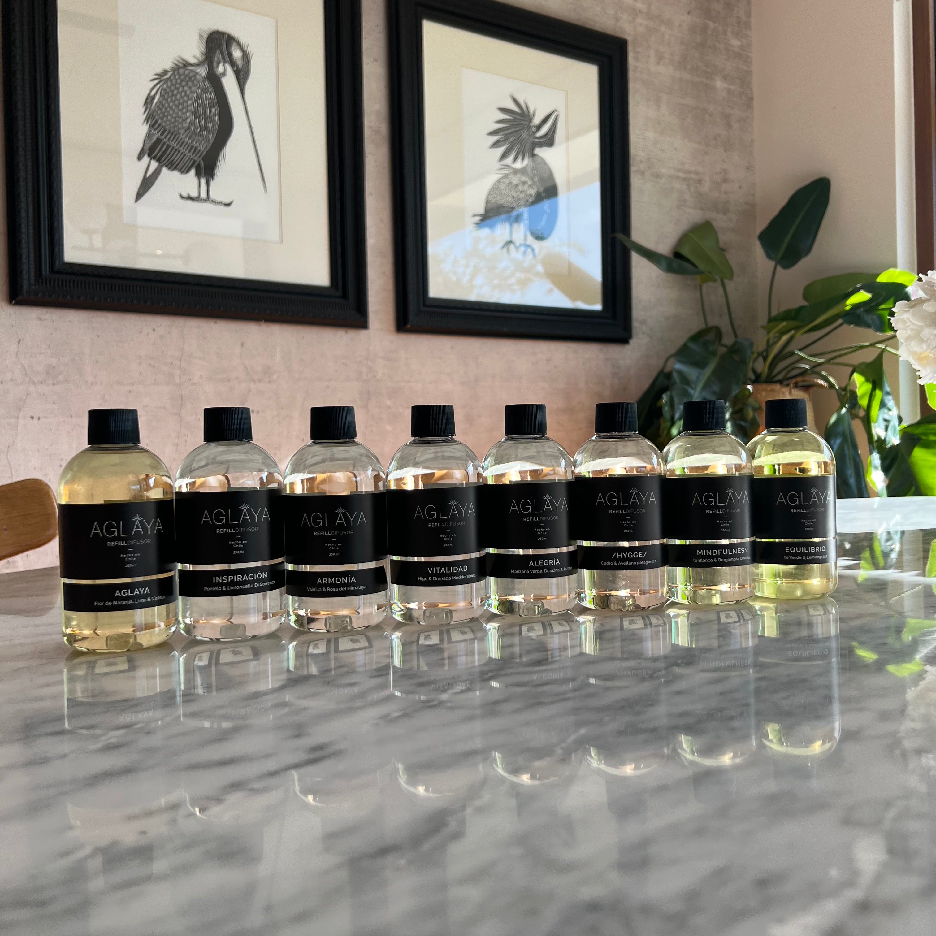 Refill Vitalidad