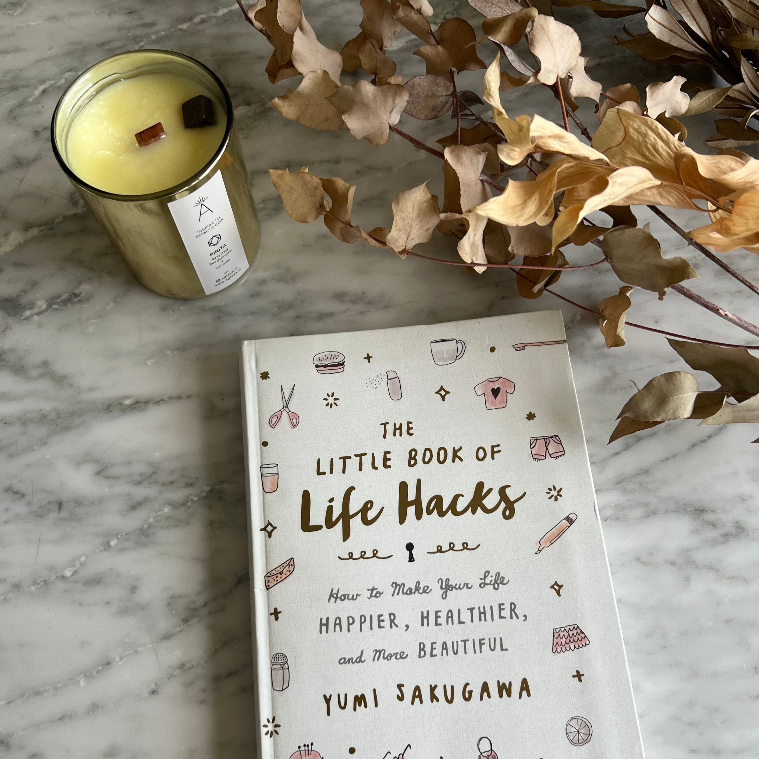 The Little Book of Life Hacks