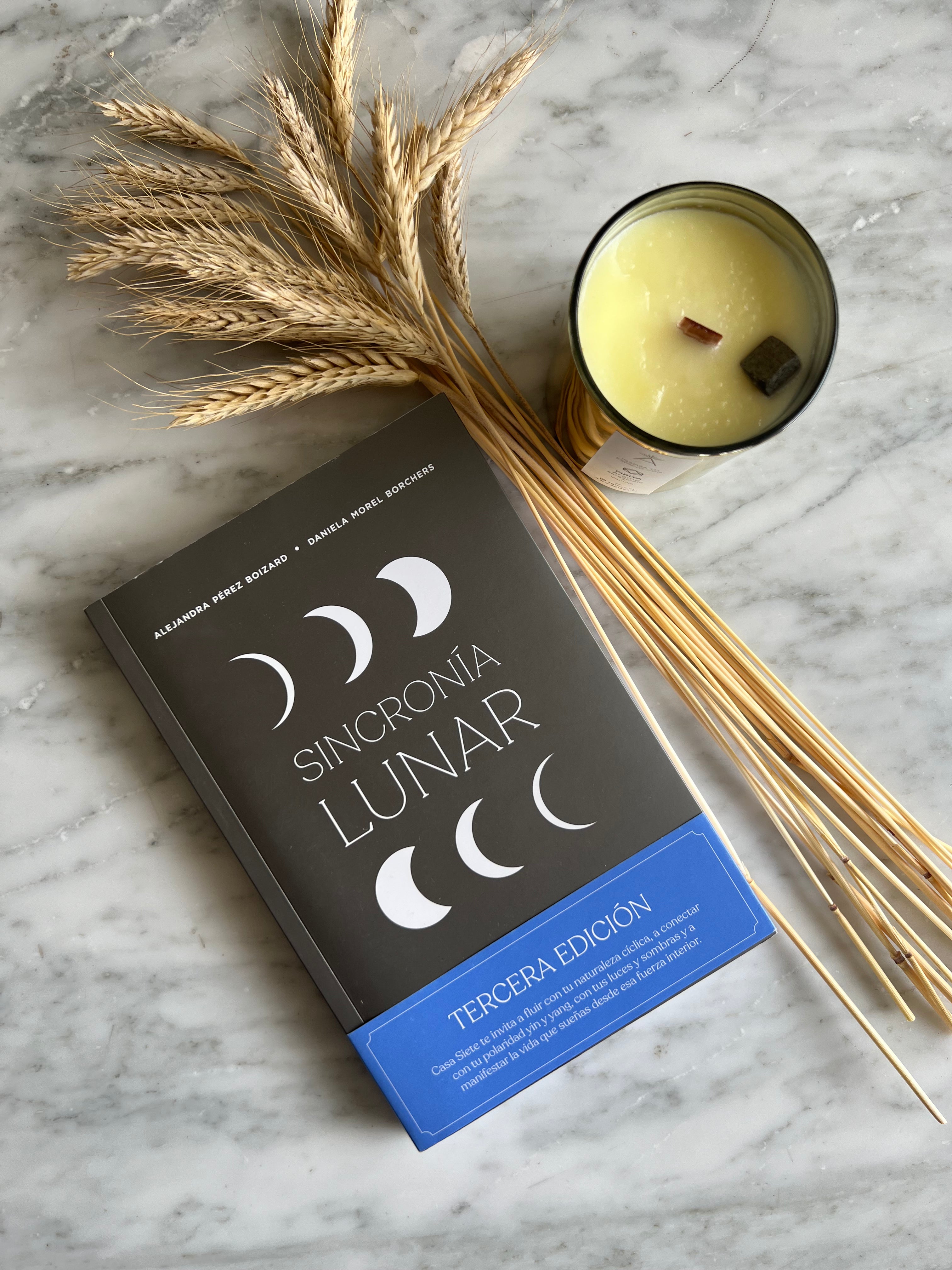 Libro Sincronía Lunar