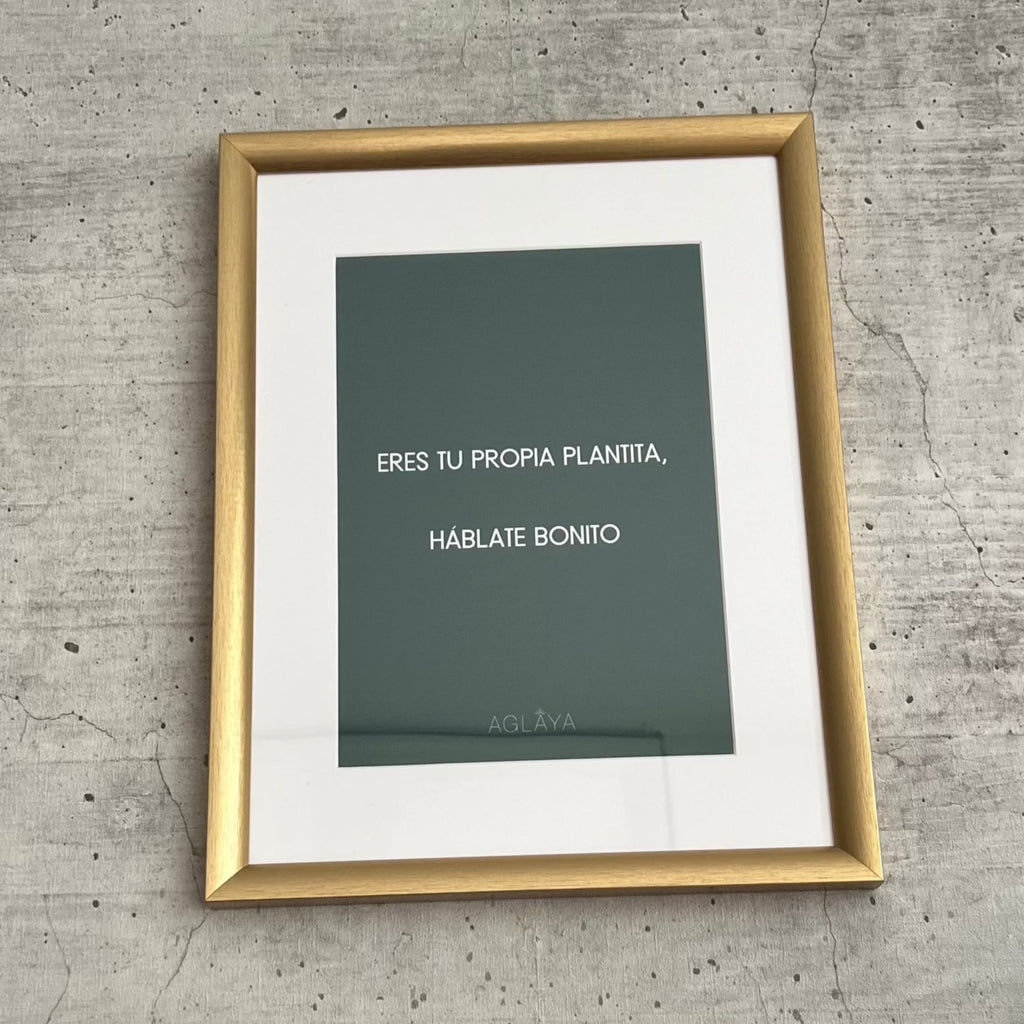Cuadro "Eres tu Propia Plantita"