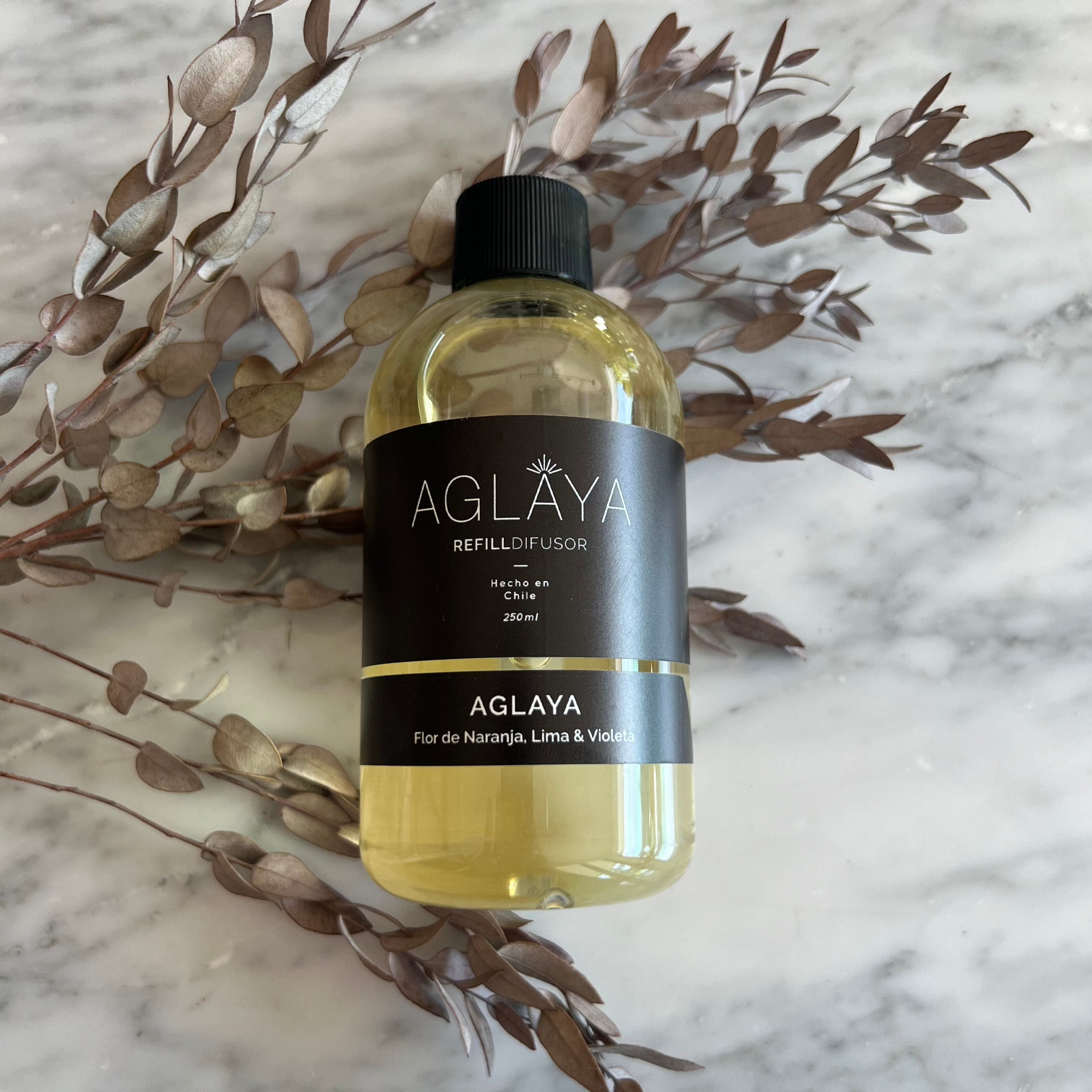 Refill Aglaya