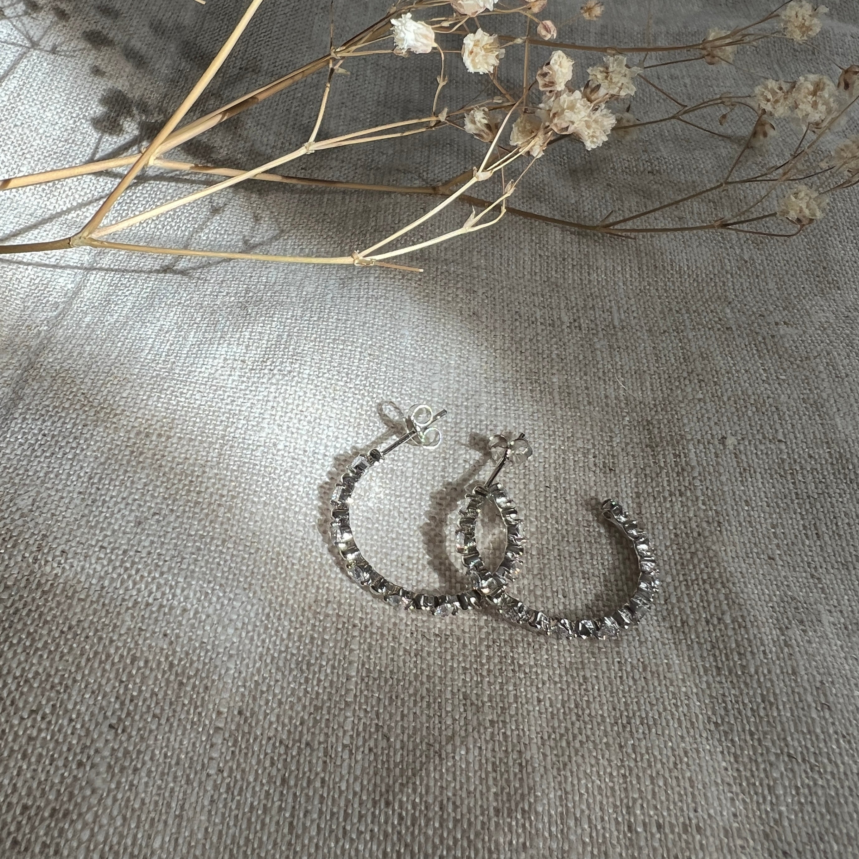 Argollas Circones Engastados Plata