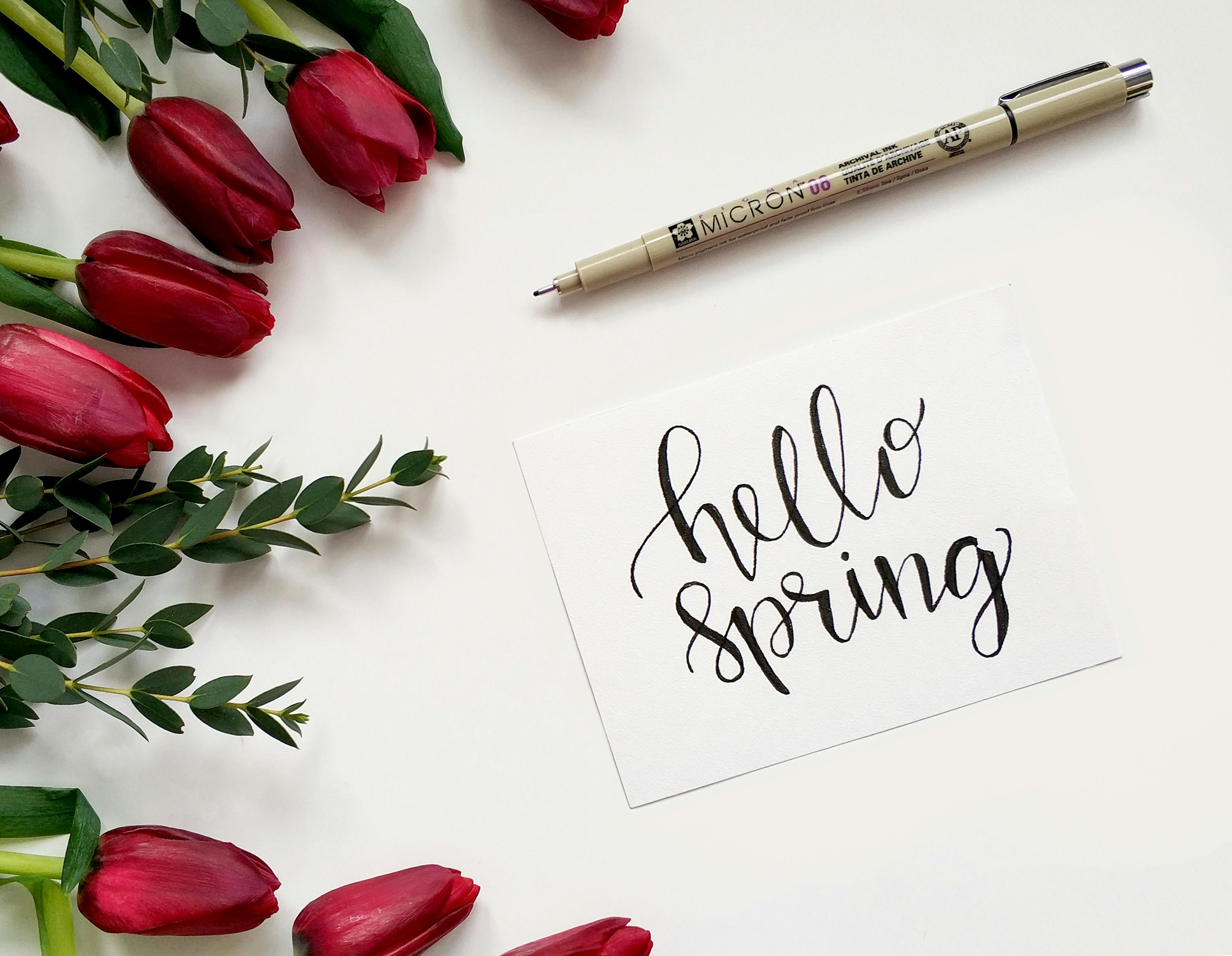 La Temporada de Primavera y el Aroma de Armonía