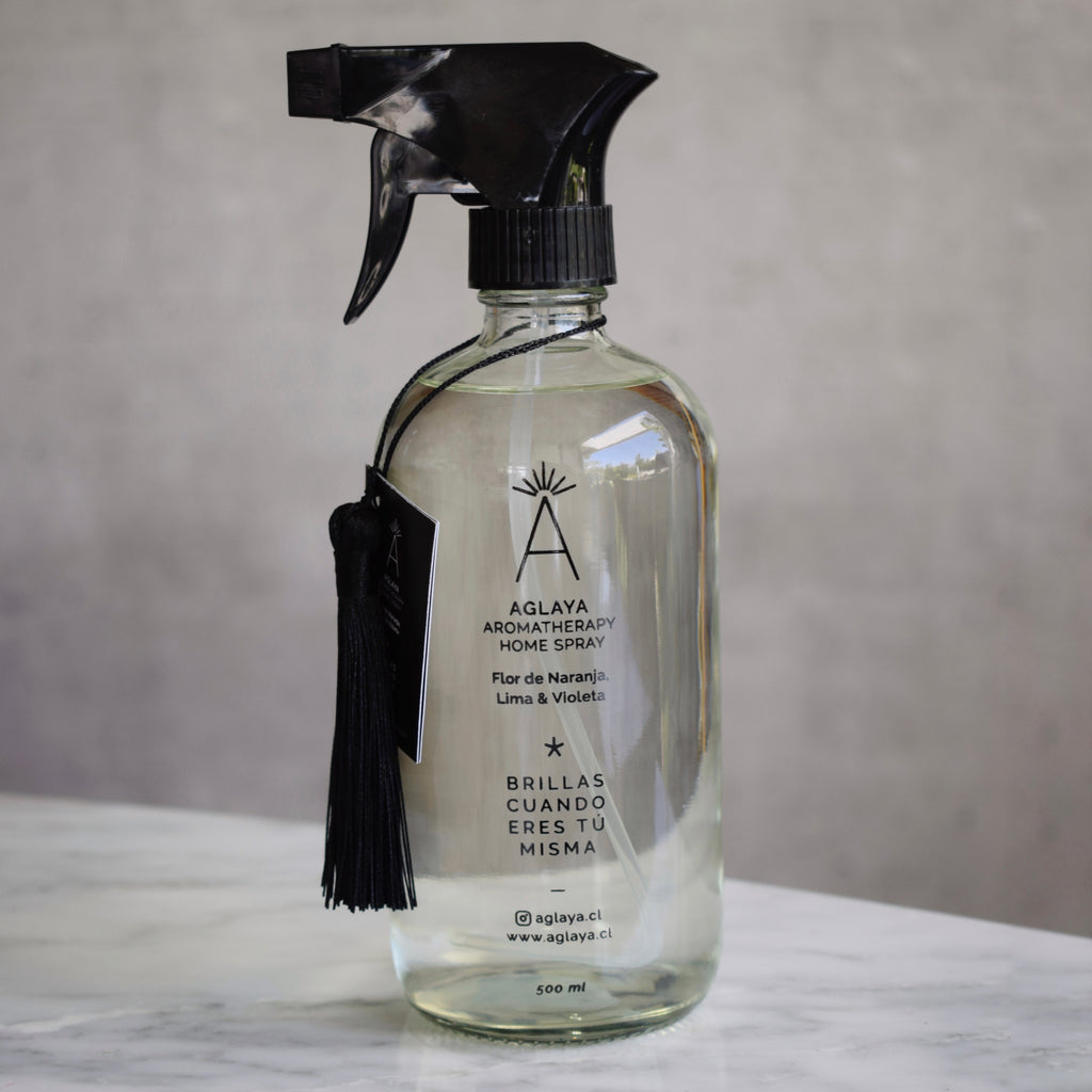 HomeSpray 500 ml