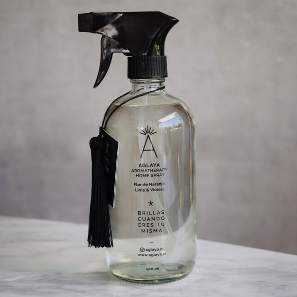 HomeSpray 500 ml