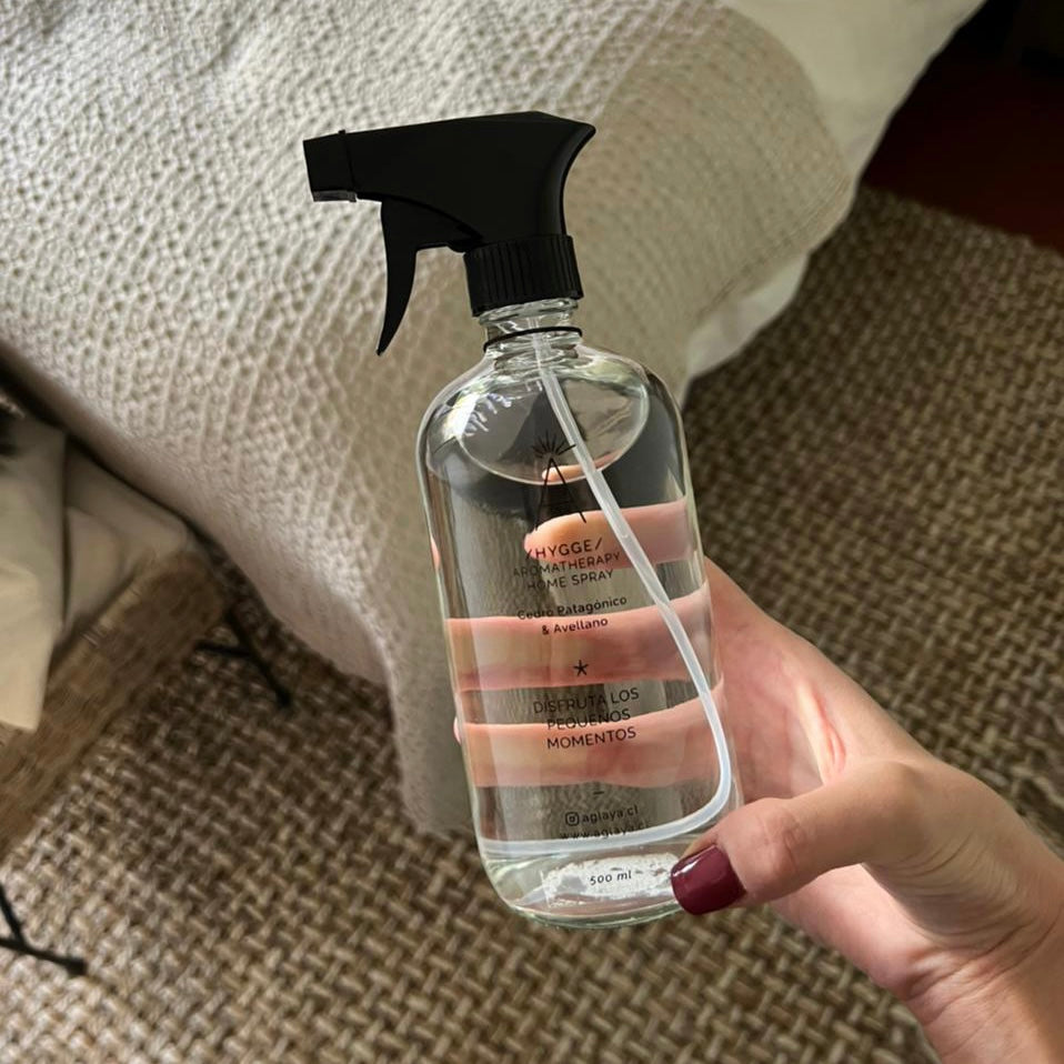 HomeSpray 500 ml