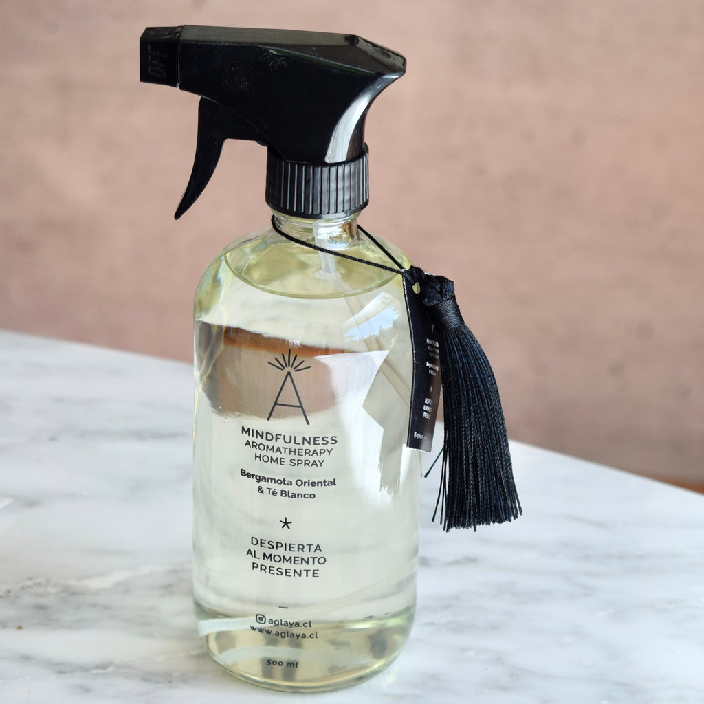 HomeSpray 500 ml