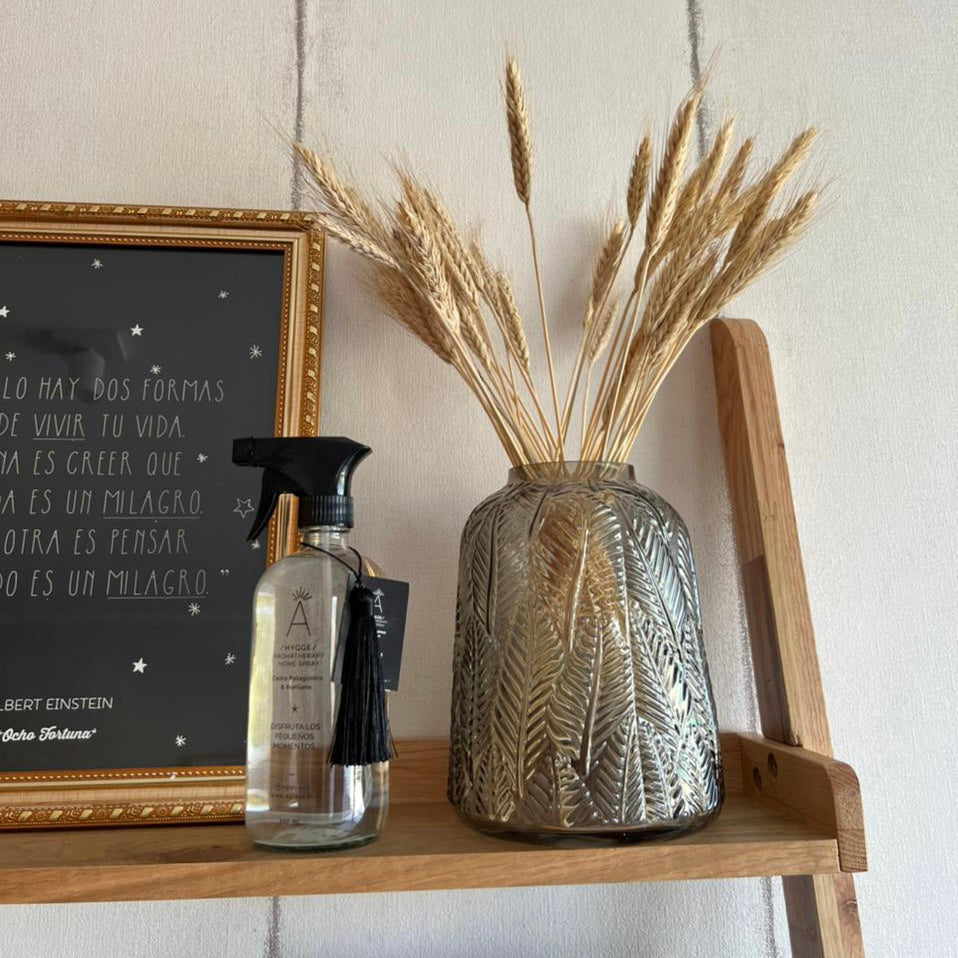 HomeSpray 500 ml