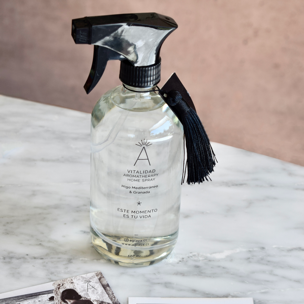 HomeSpray 500 ml