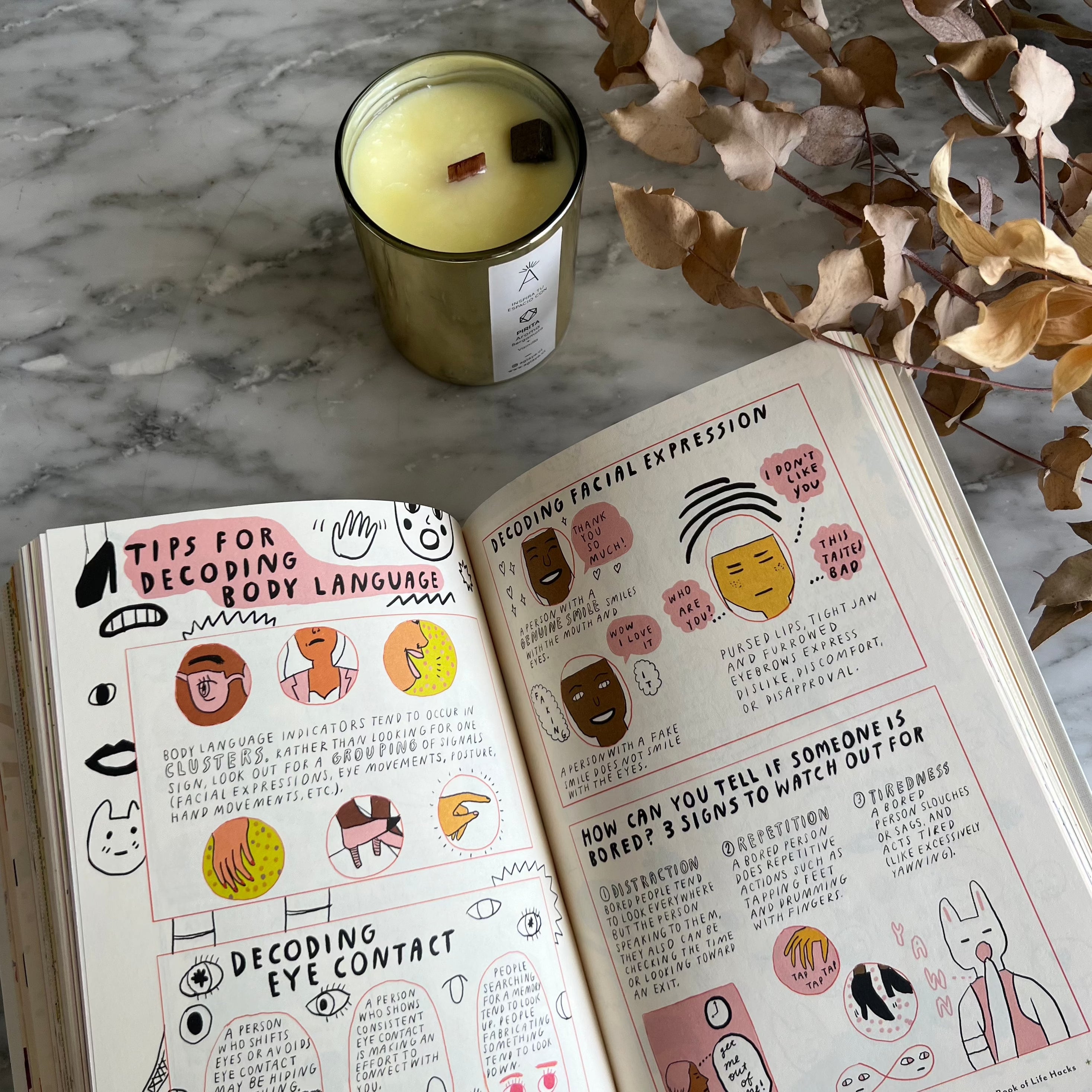 The Little Book of Life Hacks