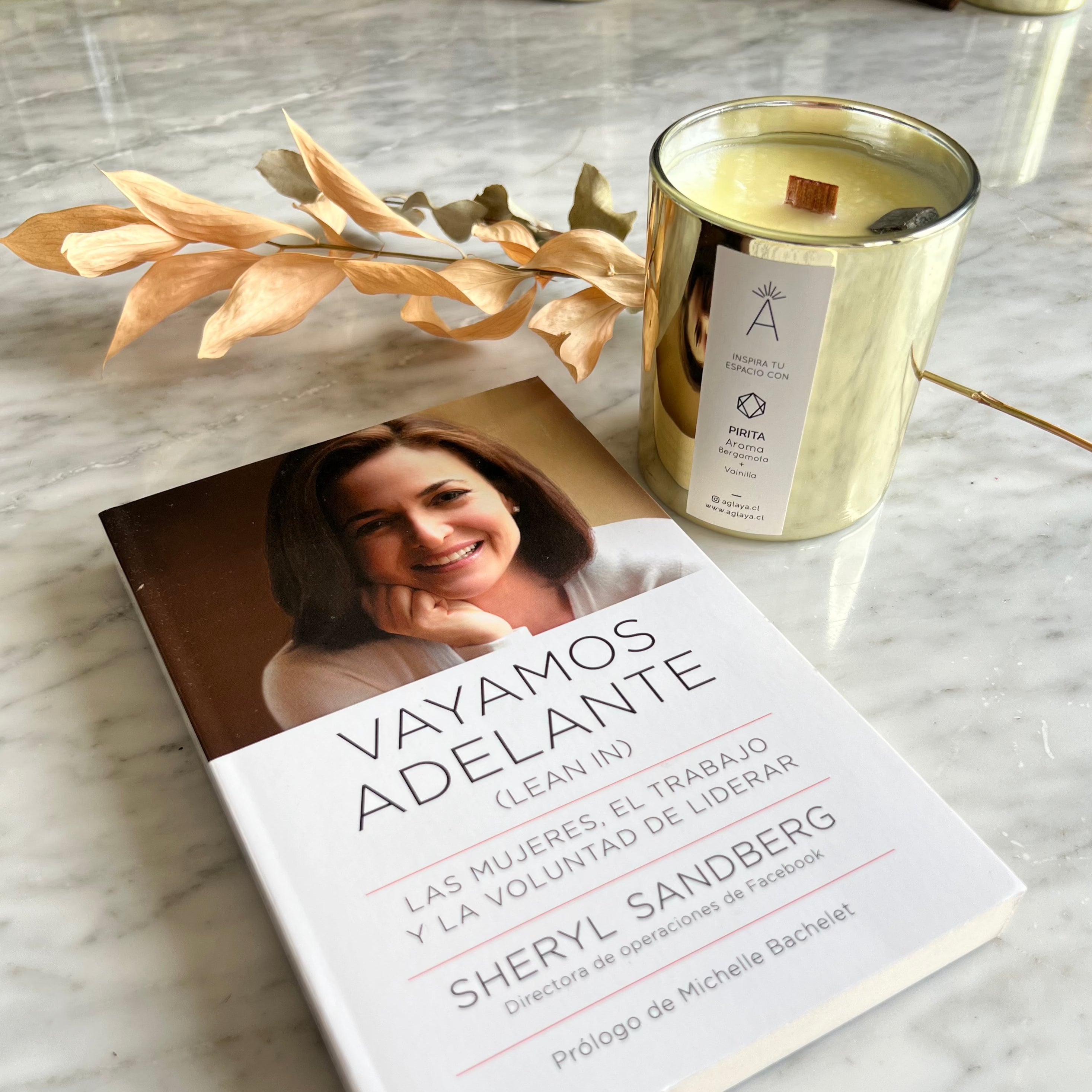 Vayamos Adelante