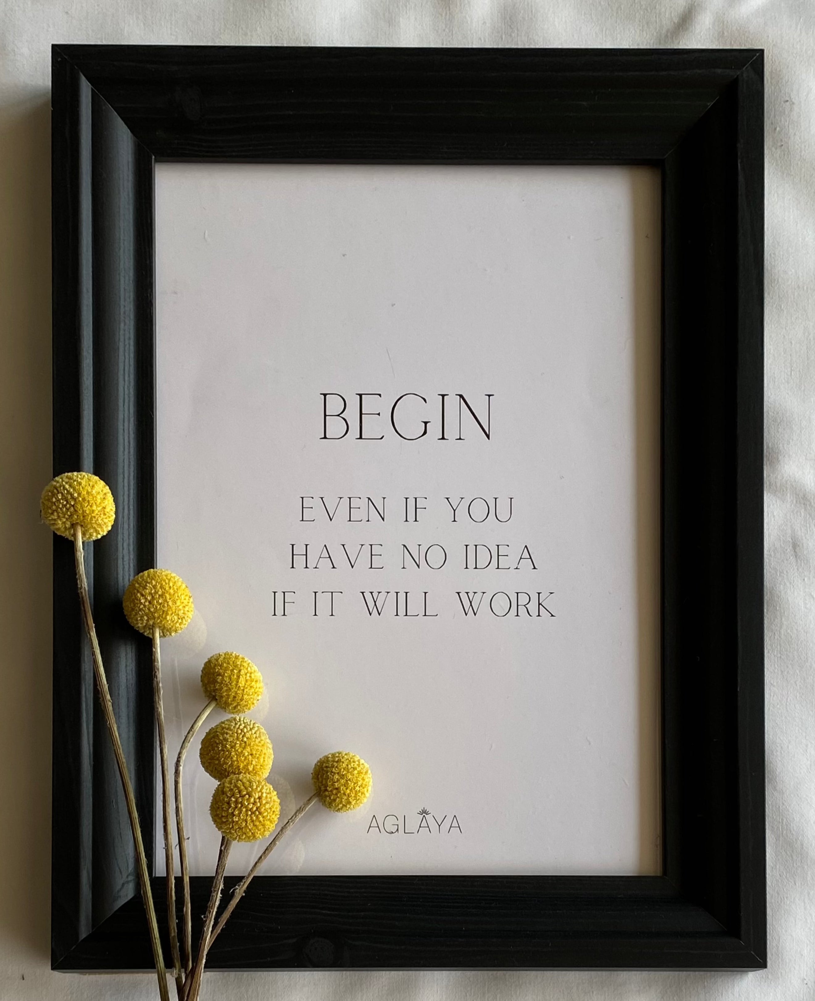 Cuadro " BEGIN"