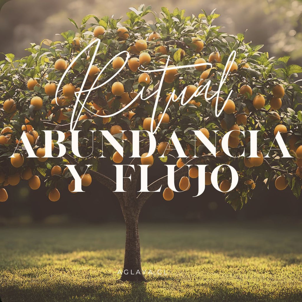 Abundancia y Flujo