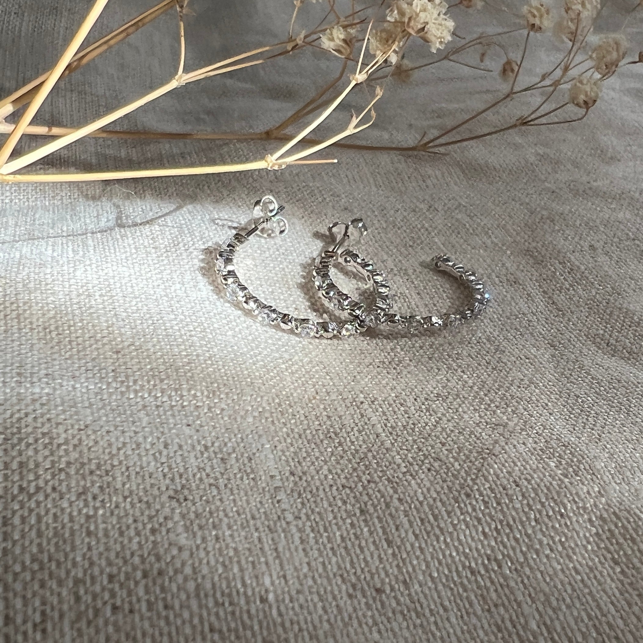 Argollas Circones Engastados Plata